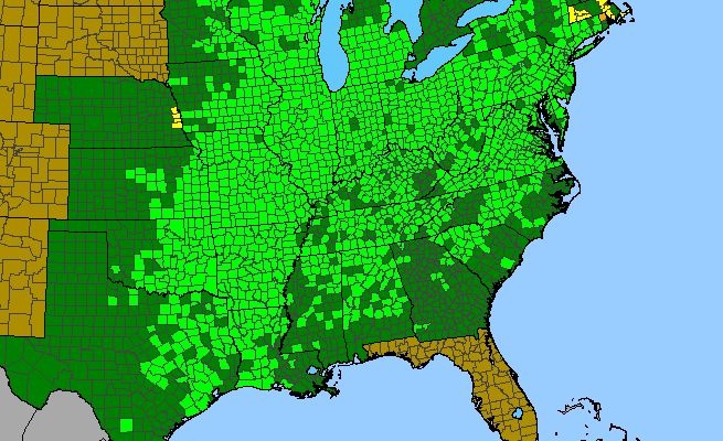 The range of Claytonia virginica